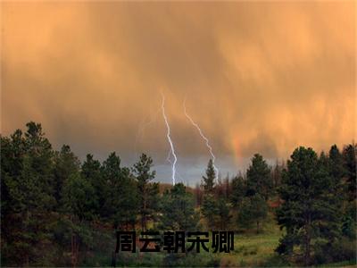 周云朝宋卿（周云朝宋卿）全文免费阅读无弹窗大结局_（周云朝宋卿）免费阅读无弹窗最新章节列表