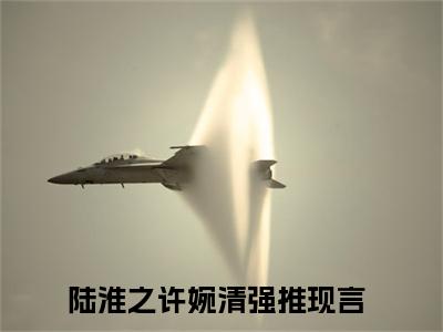 陆淮之许婉清（陆淮之许婉清）全文免费阅读无弹窗_陆淮之许婉清最新小说_笔趣阁