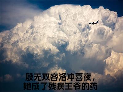 冲喜夜，她成了残疾王爷的药引（殷无双容洛）小说免费阅读无弹窗完整版_（殷无双容洛）冲喜夜，她成了残疾王爷的药引最新章节列表笔趣阁