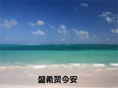 盛希贺今安（盛希贺今安）全集免费阅读无弹窗_盛希贺今安最新章节列表