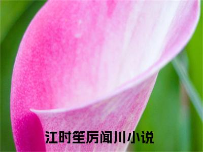 江时笙厉闻川（江时笙厉闻川小说）全文免费阅读无弹窗大结局_江时笙厉闻川小说江时笙厉闻川最新章节列表_（江时笙厉闻川）