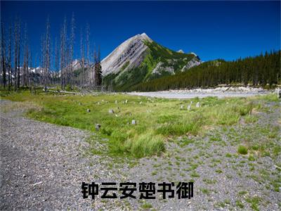 钟云安楚书御（钟云安楚书御）全文免费阅读大结局-钟云安楚书御小说全文免费阅读最新章节列表