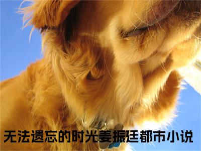 无法遗忘的时光姜振廷（无法遗忘的时光姜振廷）小说全文无广告阅读-无法遗忘的时光姜振廷小说赏析