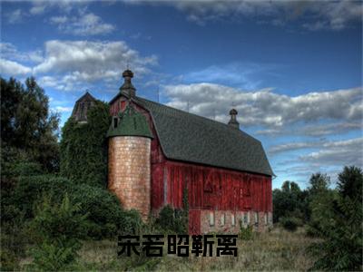 宋若昭靳离（宋若昭靳离）是什么小说-宋若昭靳离小说全文阅读