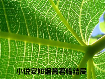 安如烟萧君临（安如烟萧君临）全文免费阅读_安如烟萧君临最新章节列表_笔趣阁