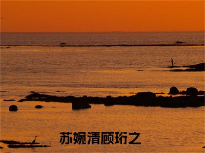 热门榜单精彩小说苏婉清顾珩之，苏婉清顾珩之推荐小说免费章节阅读