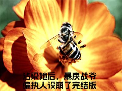 沾染她后，暴戾战爷偏执人设崩了全文免费阅读无弹窗大结局-温时禾战谦辰最新章节列表免费阅读