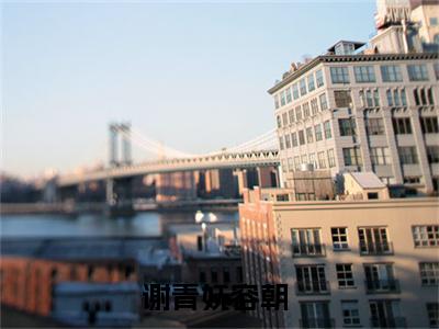 谢青妩容朝豪门小说《谢青妩容朝》最新章阅读-谢青妩容朝小说今日更新