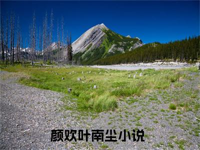 颜欢叶南尘小说（颜欢叶南尘）全文免费阅读无弹窗大结局_颜欢叶南尘小说最新章节列表_笔趣阁（颜欢叶南尘）