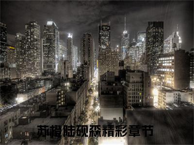 苏橙陆砚森的小说（苏橙陆砚森）免费阅读_苏橙陆砚森小说免费阅读-笔趣阁