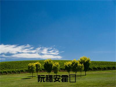 阮穗安霍櫂（阮穗安霍櫂）免费阅读完整版-阮穗安霍櫂全文大结局已完结