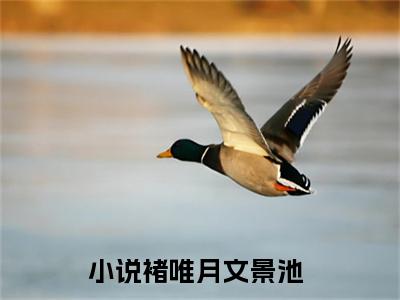 褚唯月文景池后续+全集（褚唯月文景池）全文免费阅读无弹窗大结局_（褚唯月文景池后续+全集免费阅读无弹窗）褚唯月文景池后续+全集最新章节列表_笔趣阁（褚唯月文景池）