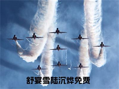 舒宴雪陆沉烨全文免费阅读（舒宴雪陆沉烨）全文免费阅读大结局_舒宴雪陆沉烨全文免费阅读无弹窗_笔趣阁