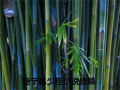 施宁慕少臣（施宁慕少臣）高质量小说推荐阅读-最新小说施宁慕少臣全文阅读