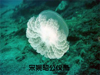 宋婉昭公仪萧的小说全文免费阅读无弹窗，主角名字是：宋婉昭公仪萧的小说在线免费阅读大结局