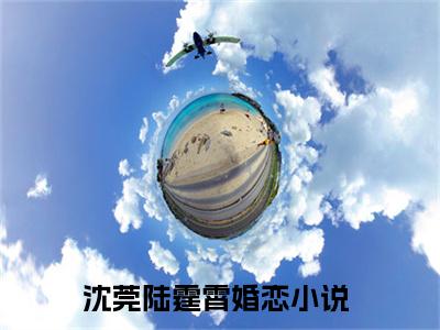 沈莞陆霆霄全文免费阅读大结局 沈莞陆霆霄小说最新章节阅读无弹窗