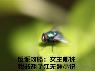 抖音新书热荐小说（反派攻略：女主都被我截胡了江无涯）主角是（反派攻略：女主都被我截胡了江无涯）小说免费阅读小说无弹窗阅读_笔趣阁