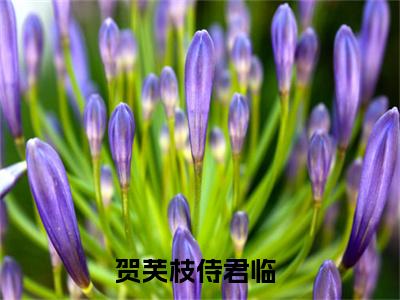 贺芙枝侍君临（贺芙枝侍君临）小说全文-贺芙枝侍君临无弹窗免费阅读