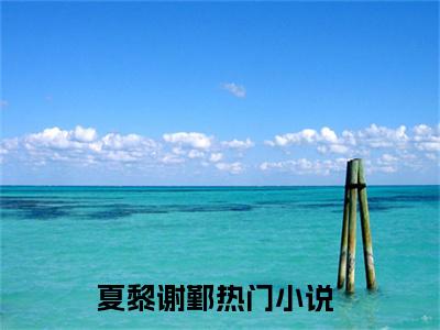 夏黎谢鄞（玫瑰港）全网首发最火小说-主角玫瑰港的小说完整版免费阅读