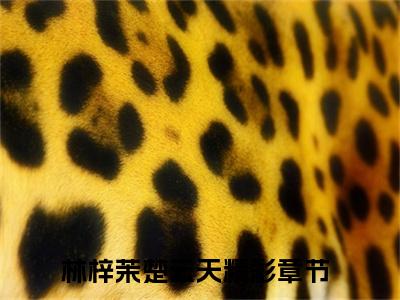 林梓茉楚云天全文免费阅读（林梓茉楚云天小说）全文免费阅读无弹窗大结局_(林梓茉楚云天小说小说免费阅读)最新章节列表_（林梓茉楚云天）
