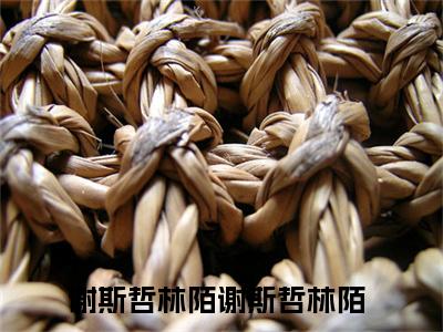 谢斯哲林陌(谢斯哲林陌)全文免费阅读无弹窗大结局_(谢斯哲林陌)最新章节列表_谢斯哲林陌