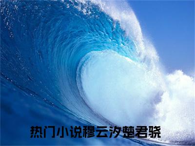 穆云汐楚君骁（穆云汐楚君骁）全文免费阅读无弹窗_穆云汐楚君骁全文免费阅读最新章节大结局