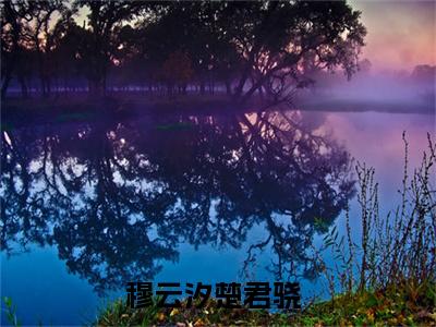 穆云汐楚君骁（穆云汐楚君骁）全文免费阅读无弹窗大结局_穆云汐楚君骁最新章节列表