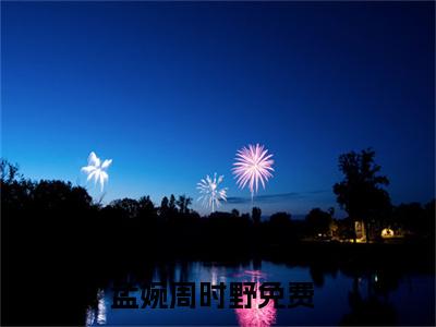 孟婉周时野（孟婉周时野）小说最后结局-（孟婉周时野）完结版免费阅读
