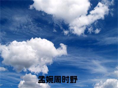 孟婉周时野全网首发小说，孟婉周时野全文免费阅读