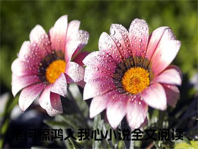 祈淮楼嫣（奈何惊鸿入我心）全文免费阅读无弹窗大结局_祈淮楼嫣_笔趣阁