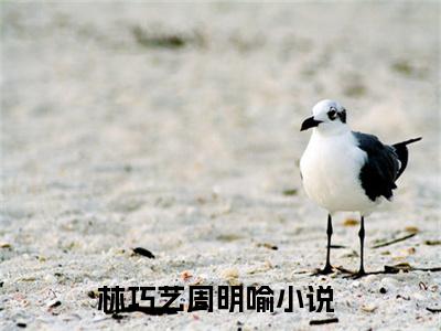 林巧艺周明喻（林巧艺周明喻）最新免费阅读-林巧艺周明喻小说在线阅读