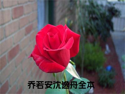乔若安沈逸舟小说(乔若安沈逸舟)全文免费阅读无弹窗大结局_(乔若安沈逸舟小说全文大结局)最新章节列表_笔趣阁（乔若安沈逸舟）