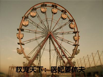 权宠天下：医妃要休夫全文免费阅读-慕容麒冷清欢最新章节小说免费阅读