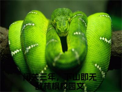 闭关三年，下山即无敌林枫阅读无弹窗大结局_（闭关三年，下山即无敌林枫阅读无弹窗）最新章节列表_笔趣阁（闭关三年，下山即无敌林枫）