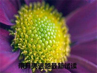 元蕙如房倦之带月亮逃跑精彩章节在线阅读-带月亮逃跑美文欣赏