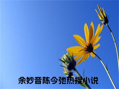 余妙音陈今弛（余妙音陈今弛）全文免费阅读无弹窗_余妙音陈今弛全文免费阅读最新章节大结局_