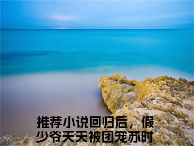 回归后，假少爷天天被团宠苏时晏小说全文免费阅读无弹窗大结局-回归后，假少爷天天被团宠苏时晏 小说在哪里可以看