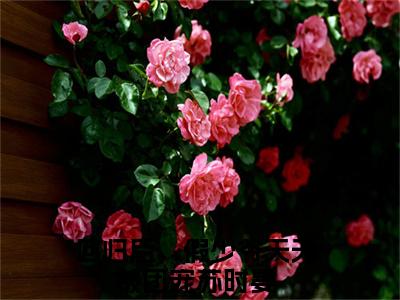 回归后，假少爷天天被团宠苏时晏（回归后，假少爷天天被团宠苏时晏）全文免费阅读无弹窗大结局_（回归后，假少爷天天被团宠苏时晏）最新章节列表笔趣阁（回归后，假少爷天天被团宠苏时晏）
