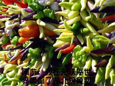 好书推荐小说网游：我在无秩序世界飙疯了林北极-网游：我在无秩序世界飙疯了林北极全文免费阅读大结局