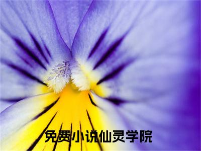 叶天仙灵学院免费小说 仙灵学院全文无弹窗完整版阅读