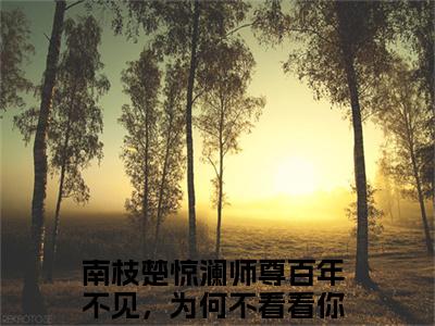 师尊百年不见，为何不看看你的弃徒免费小说（南枝楚惊澜）全文免费阅读_师尊百年不见，为何不看看你的弃徒免费小说师尊百年不见，为何不看看你的弃徒小说最新章节列表笔趣阁