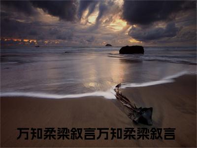 万知柔梁叙言(万知柔梁叙言)全文免费阅读无弹窗大结局_万知柔梁叙言说免费阅读最新章节列表
