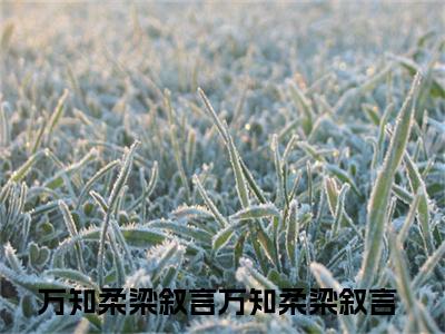 万知柔梁叙言（万知柔梁叙言）全文阅读完整版_万知柔梁叙言小说免费阅读大结局（万知柔梁叙言）