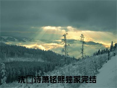沈玥诗萧铭熙全文免费阅读大结局-（沈玥诗萧铭熙）最新章节列表在线阅读