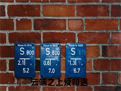 云端之上爱相遇小说最新章节阅读-安云南季遇川全文免费试读