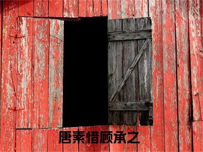 唐素惜顾承之的小说全文免费阅读无弹窗，唐素惜顾承之的小说在线免费阅读大结局