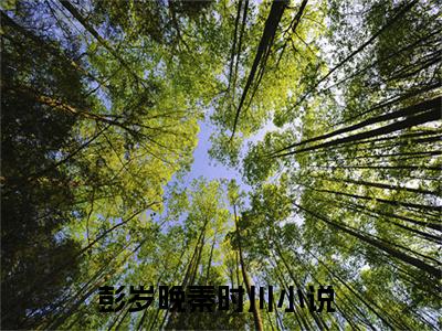 主角是彭岁晚秦时川的小说叫什么名字-彭岁晚秦时川小说全文免费阅读