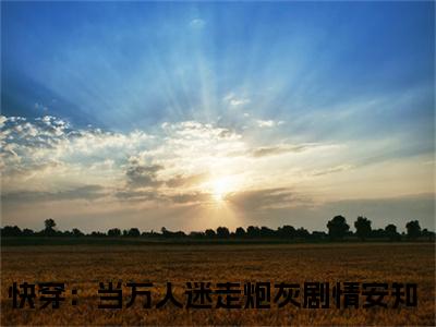 快穿：当万人迷走炮灰剧情安知小说全文在线赏析 快穿：当万人迷走炮灰剧情安知小说免费阅读全文大结局