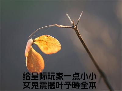 给星际玩家一点小小女鬼震撼叶予曦的书名 给星际玩家一点小小女鬼震撼叶予曦免费章节阅读