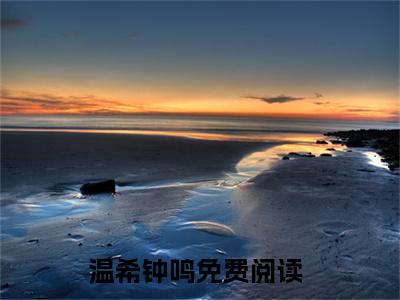 温希钟鸣：长雾大街事务所全文免费阅读无弹窗大结局_（温希钟鸣）长雾大街事务所最新章节列表笔趣阁